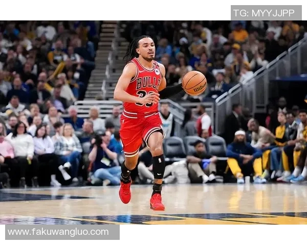 公牛队新援表现抢眼，球队逐渐崛起